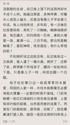 菲律宾移民如何申请婚签 婚签是什么样的签证